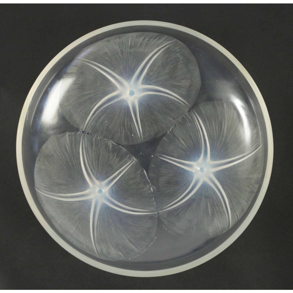 René LALIQUE (1860-1945) : Coupe « Volubilis » Opalescente . | Biron René LALIQUE (1860-1945) : Coupe « Volubilis » Opalescente .