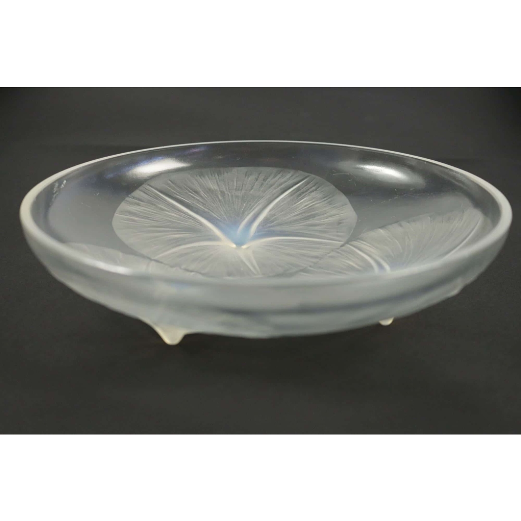 René LALIQUE (1860-1945) : Coupe « Volubilis » Opalescente . | Biron René LALIQUE (1860-1945) : Coupe « Volubilis » Opalescente .
