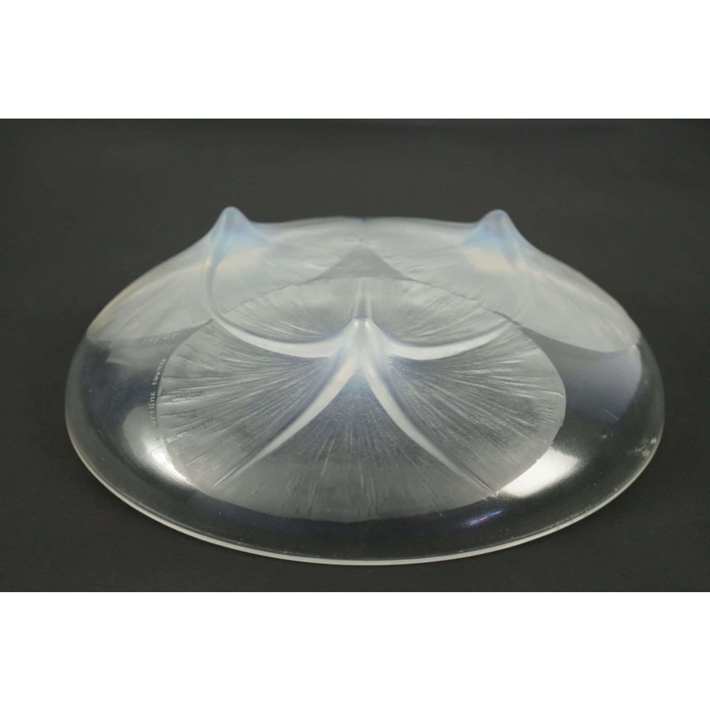 René LALIQUE (1860-1945) : Coupe « Volubilis » Opalescente . | Biron René LALIQUE (1860-1945) : Coupe « Volubilis » Opalescente .