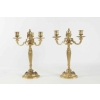 Paire de Candélabre de style Louis XV en bronze doré, 19ème siècle, dorure d’origine. | Biron |||||||||