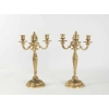 Paire de Candélabre de style Louis XV en bronze doré, 19ème siècle, dorure d’origine. | Biron Paire de Candélabre de style Louis XV en bronze doré, 19ème siècle, dorure d'origine.