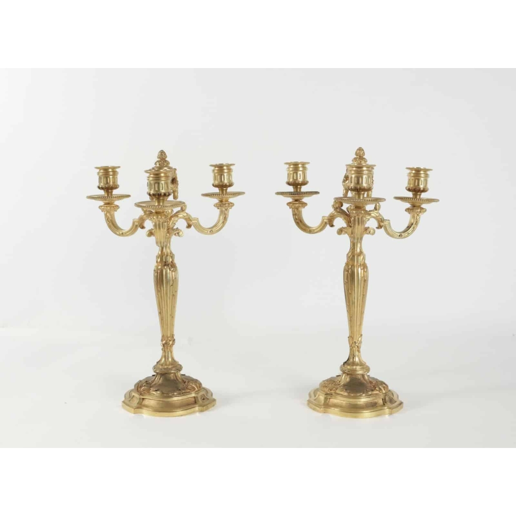Paire de Candélabre de style Louis XV en bronze doré, 19ème siècle, dorure d’origine. | Biron Paire de Candélabre de style Louis XV en bronze doré, 19ème siècle, dorure d'origine.
