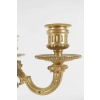 Paire de Candélabre de style Louis XV en bronze doré, 19ème siècle, dorure d’origine. | Biron Paire de Candélabre de style Louis XV en bronze doré, 19ème siècle, dorure d'origine.
