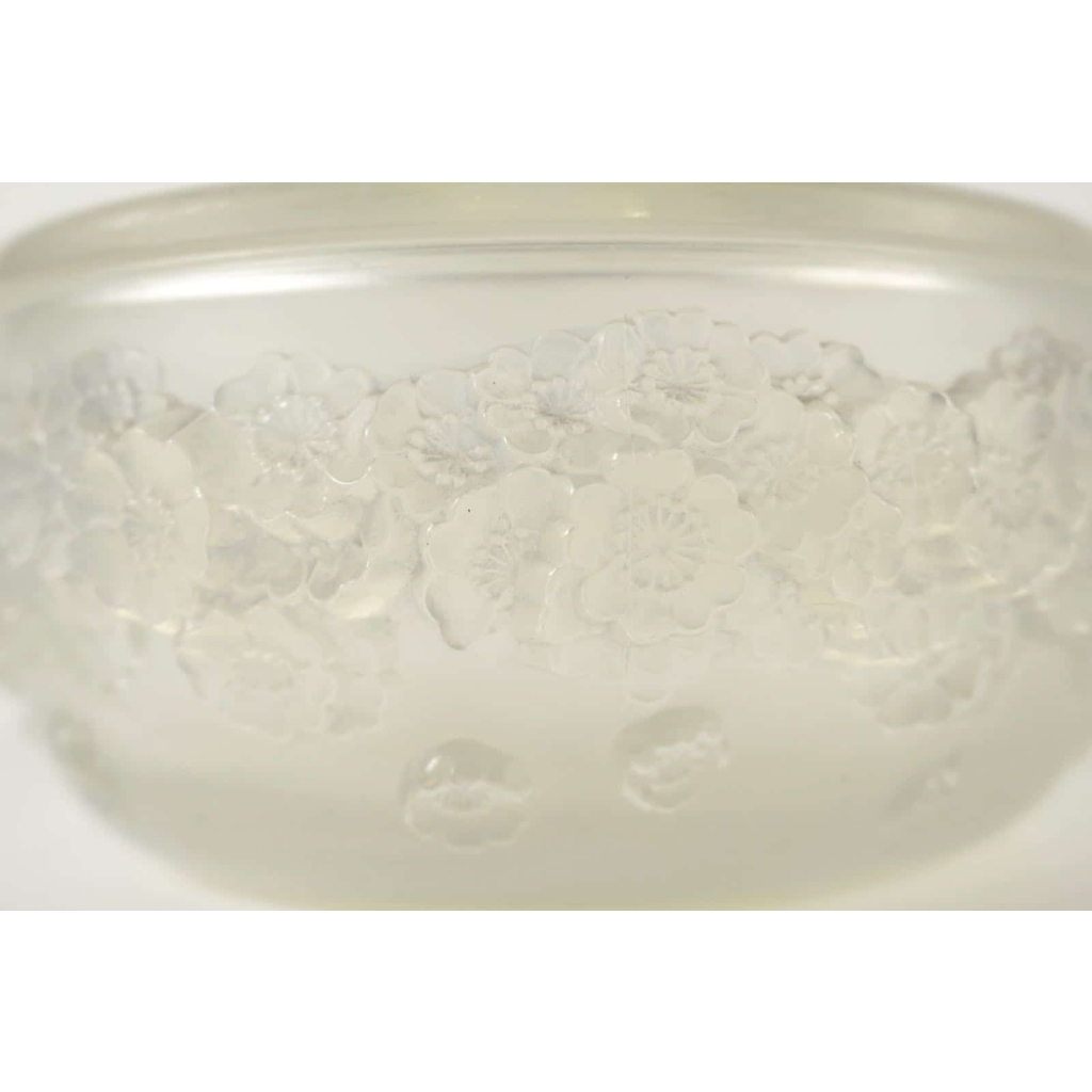 René LALIQUE (1860-1945) Boite « primevères » Opalescente | Biron René LALIQUE (1860-1945) Boite "primevères " Opalescente