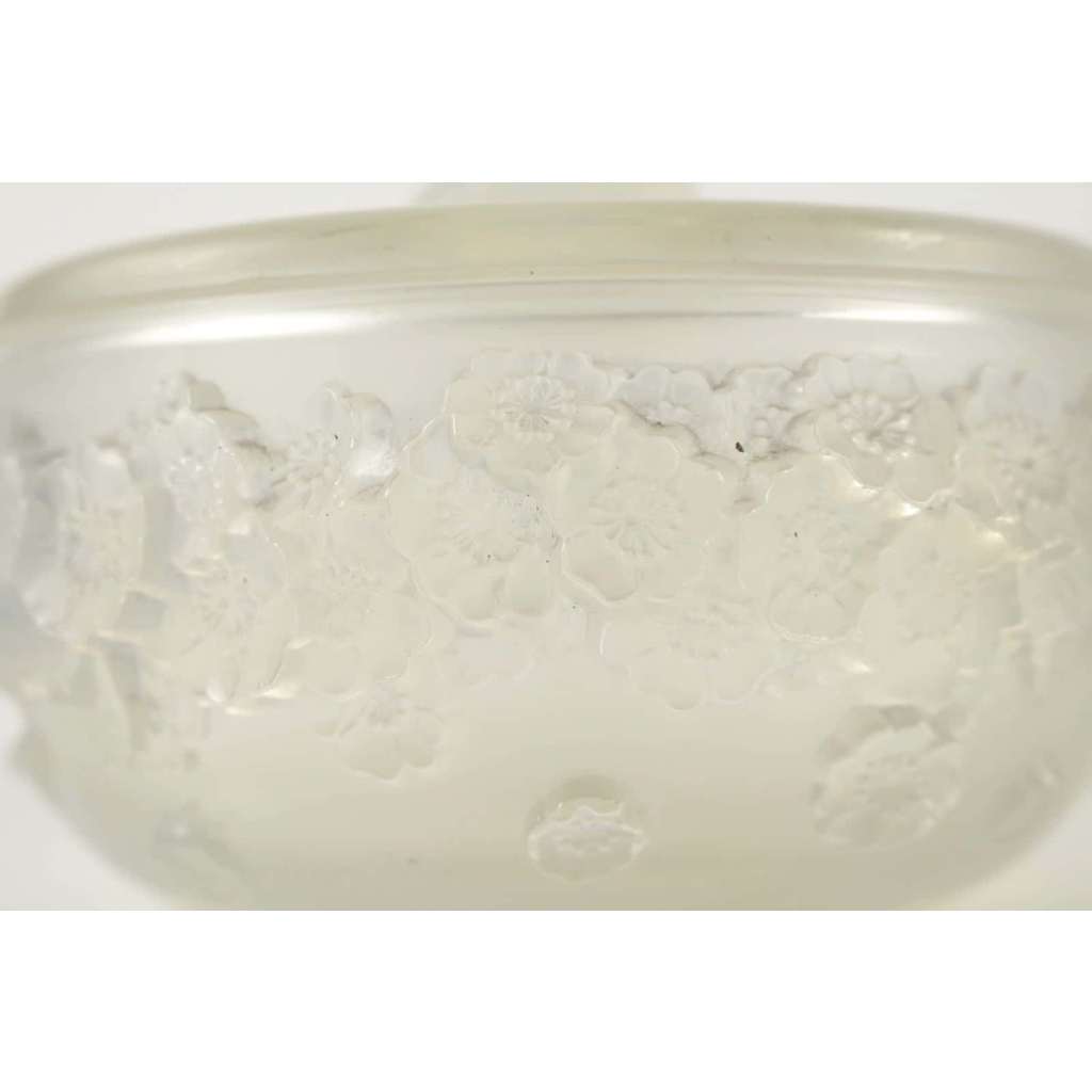 René LALIQUE (1860-1945) Boite « primevères » Opalescente | Biron René LALIQUE (1860-1945) Boite "primevères " Opalescente