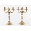 Paire de Candélabre de style Louis XV en bronze doré, 19ème siècle, époque napoléon III