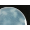 René lalique Boite « Cigales » Opalescente | Biron René lalique Boite "Cigales" Opalescente