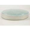 René lalique Boite « Cigales » Opalescente | Biron René lalique Boite "Cigales" Opalescente