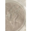 René Lalique Plat « Côte d’or » | Biron René Lalique Plat "Côte d'or"