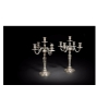 Paire de Candélabres en Bronze Argentés Style Louis XVI | Biron |||