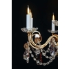 Lustre, Maison Baguès, 1940, 12 lumières, pampilles de cristal, grande décoration | Biron Lustre, Maison Baguès, 1940, 12 lumières, pampilles de cristal, grande décoration