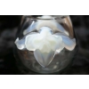 Lalique France Vase « orchidée » opalescent | Biron Lalique France Vase "orchidée" opalescent