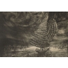 Lithographie Originale de CLAYETTE, 3/100 | Biron Lithographie Originale de CLAYETTE, 3/100