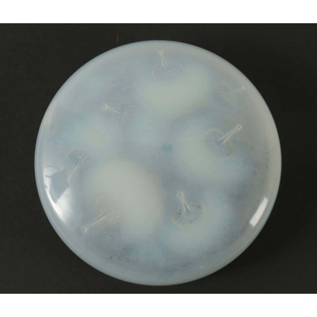 René LALIQUE (1860-1945) Boite Opalescente « Houppes » | Biron ||||