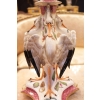 Paire de chandeliers Échassiers et insectes Hochst 18e siècle | Biron Paire de chandeliers Échassiers et insectes Hochst 18e siècle