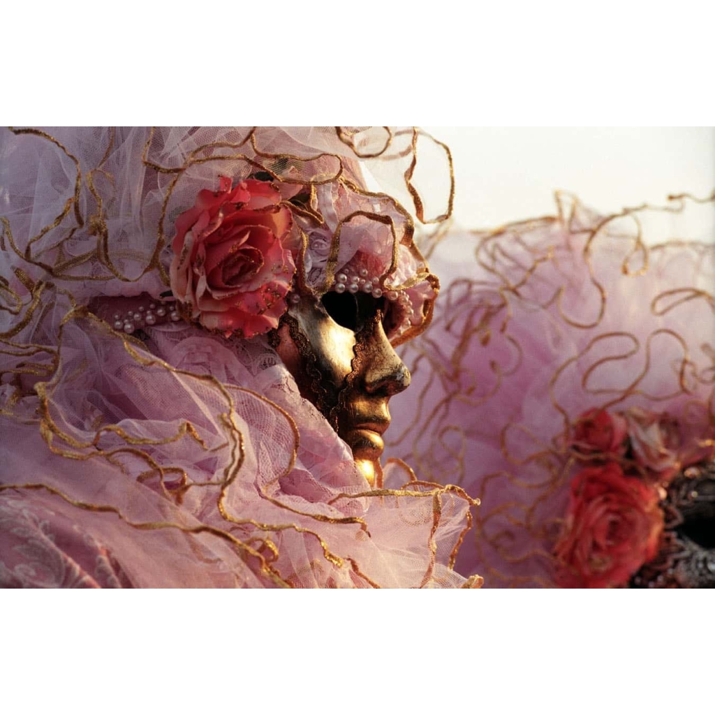 Le Carnaval de Venise, photos de Jacques LE GOFF