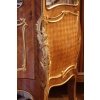 Vitrine St Louis XV | Biron Vitrine St Louis XV