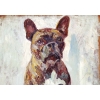 Huile sur panneau représentant un bouledogue, par Gabriel SUE (1867-1958)