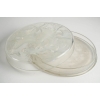 René Lalique Opalescent Boite » Cyprins » | Biron René Lalique Opalescent Boite" Cyprins"