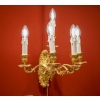Paire d’appliques bronze à 5 bras de lumière | Biron ||||