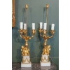 Paire De Candélabres De Style Louis XVI Formant Lampes. XIX ème. | Biron ||||||||