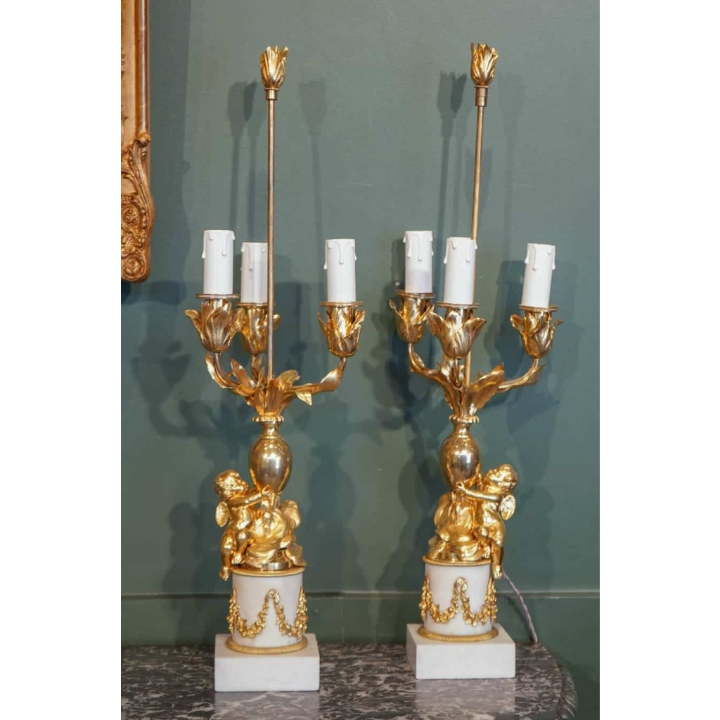 Paire De Candélabres De Style Louis XVI Formant Lampes. XIX ème. | Biron ||||||||