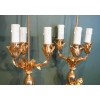 Paire De Candélabres De Style Louis XVI Formant Lampes. XIX ème. | Biron Paire De Candélabres De Style Louis XVI Formant Lampes. XIX ème.