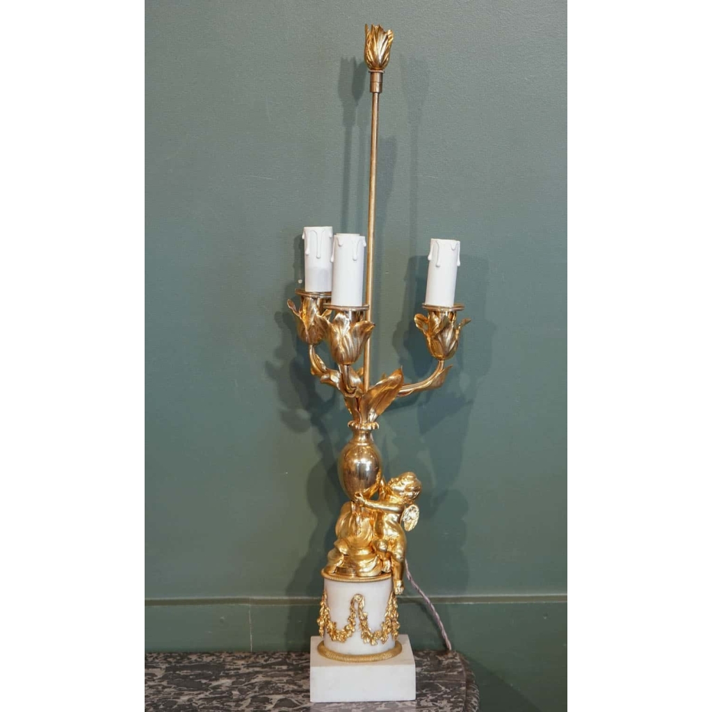 Paire De Candélabres De Style Louis XVI Formant Lampes. XIX ème. | Biron Paire De Candélabres De Style Louis XVI Formant Lampes. XIX ème.