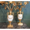 Paire de vases Louis XVI en marbre et bronze doré. | Biron Paire de vases Louis XVI en marbre et bronze doré.
