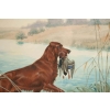 Boris RIABOUCHINSKY, dit RIAB (1898-1975) Gouache "Setter & Canard"