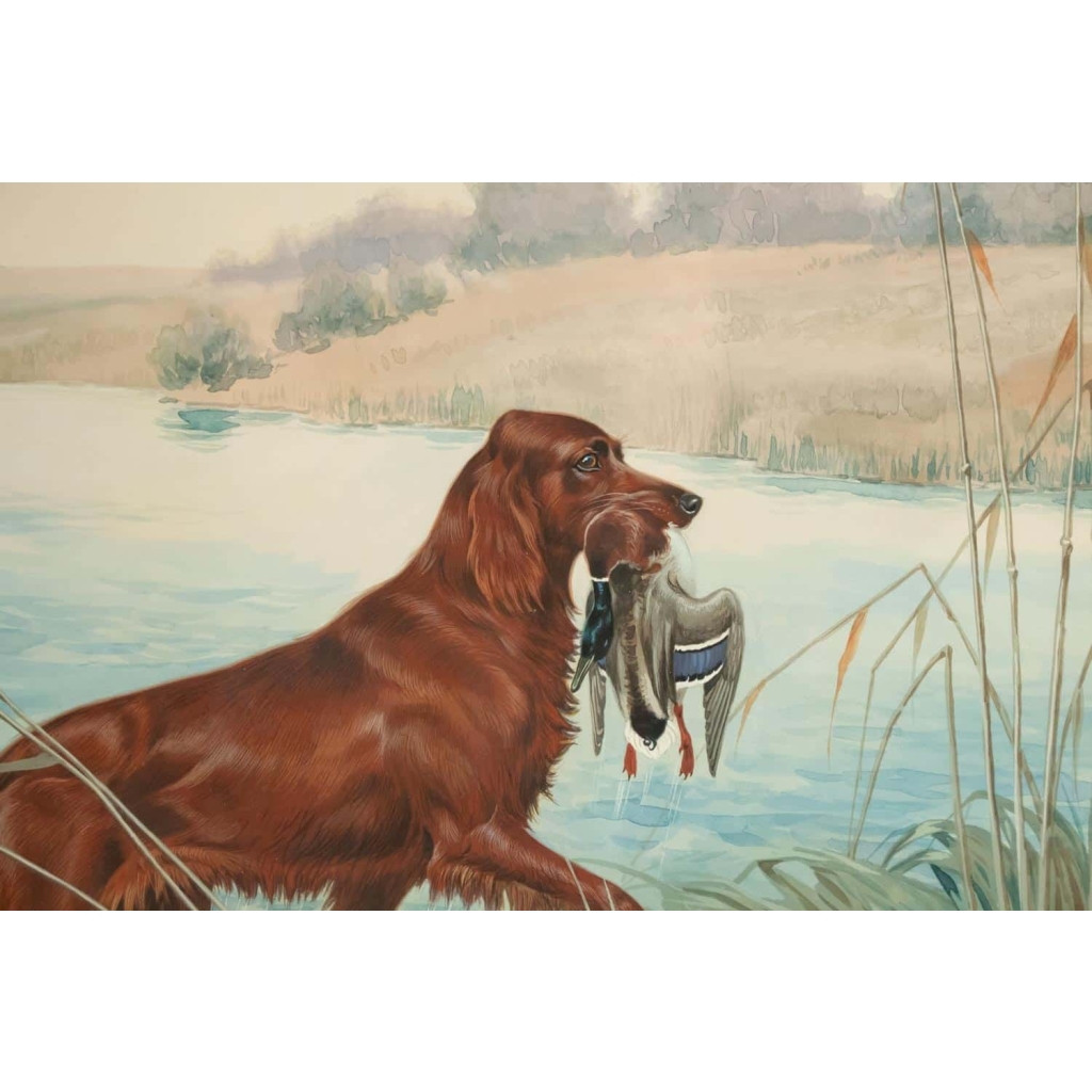Boris RIABOUCHINSKY, dit RIAB (1898-1975) Gouache "Setter & Canard"
