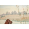 Boris RIABOUCHINSKY, dit RIAB (1898-1975) Gouache "Setter & Canard"