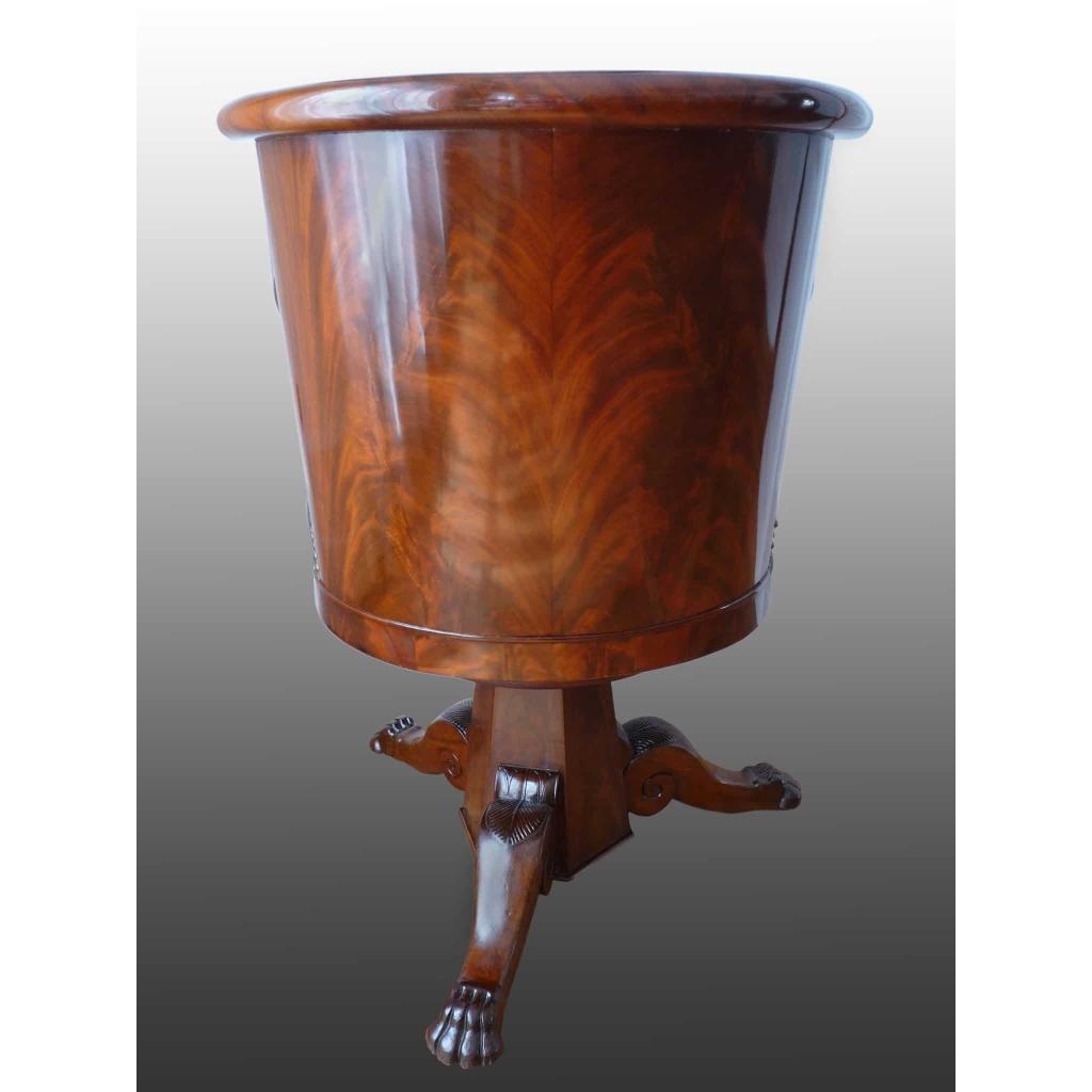 rare fauteuil de bureau | Biron rare fauteuil de bureau