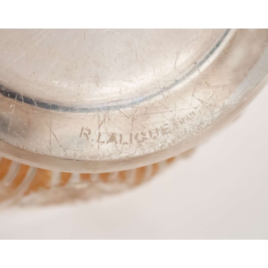 René LALIQUE (1860-1945) Vase " Edelweiss ".