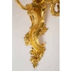 Paire d’appliques de style Louis XV. | Biron Paire d'appliques de style Louis XV.