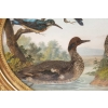 Paire de gouaches ovales figurant des oiseaux dans la nature, XIXe siècle