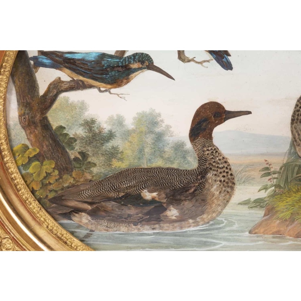 Paire de gouaches ovales figurant des oiseaux dans la nature, XIXe siècle