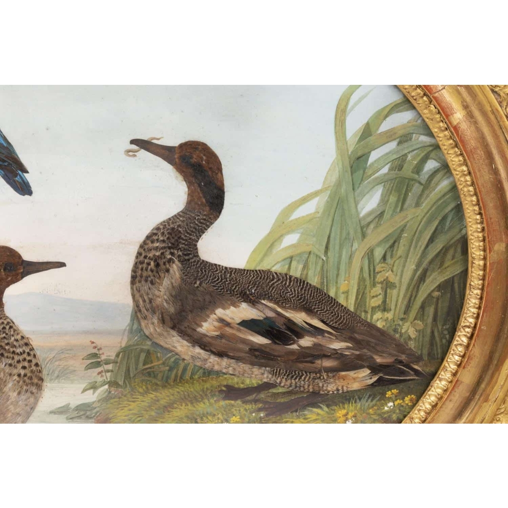 Paire de gouaches ovales figurant des oiseaux dans la nature, XIXe siècle