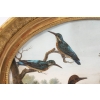 Paire de gouaches ovales figurant des oiseaux dans la nature, XIXe siècle