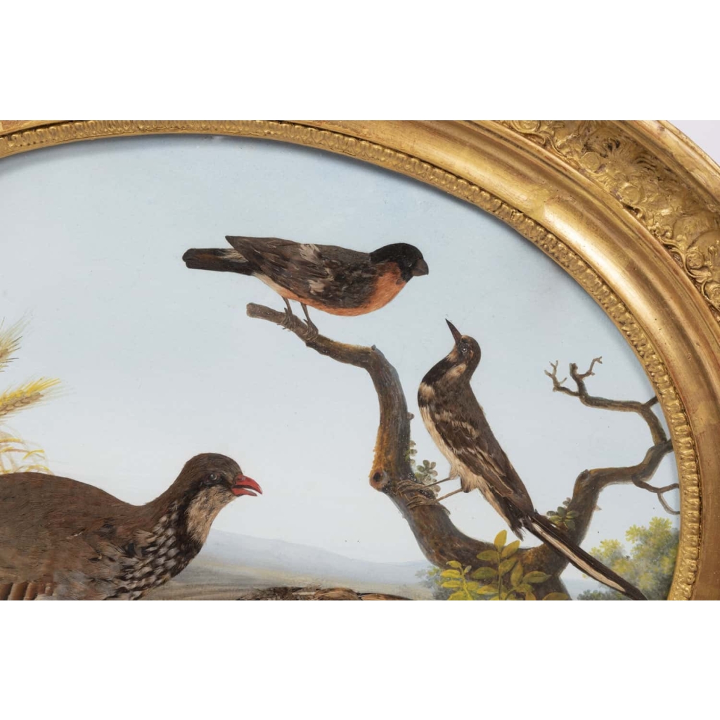 Paire de gouaches ovales figurant des oiseaux dans la nature, XIXe siècle