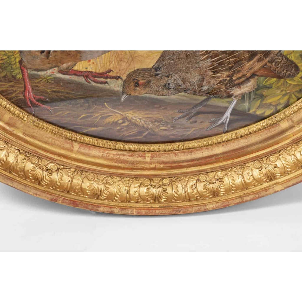 Paire de gouaches ovales figurant des oiseaux dans la nature, XIXe siècle