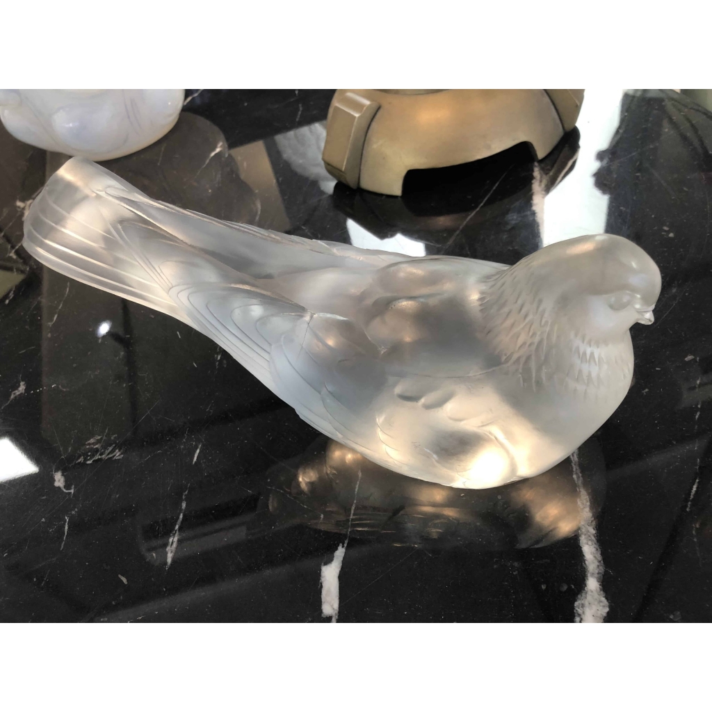 René Lalique Pigeon « Namur » | Biron René Lalique Pigeon "Namur"