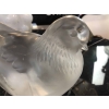René Lalique Pigeon « Namur » | Biron René Lalique Pigeon "Namur"