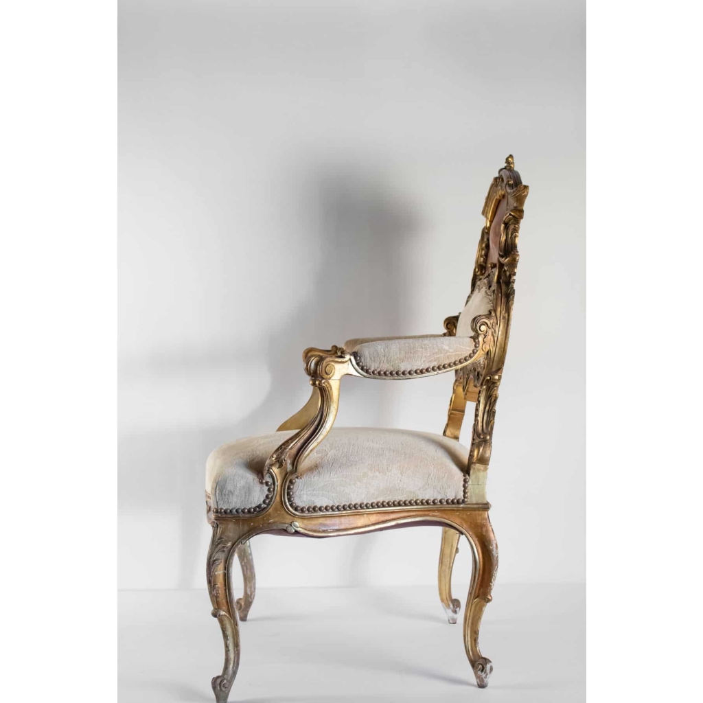 Paire de Fauteuils Rococo par Louis Majorelle 1890