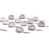 Rene Lalique 12 Portes menus « FRUIT »Set of Twelve Menu Holder | Biron ||||||
