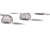 Rene Lalique 12 Portes menus « FRUIT »Set of Twelve Menu Holder | Biron Rene Lalique 12 Portes menus "FRUIT"Set of Twelve Menu Holder