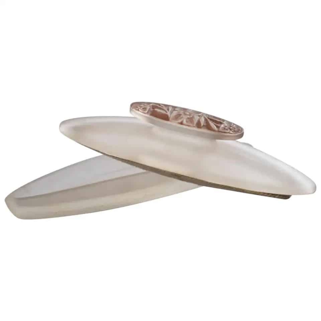 René lalique :Brosse à Ongles « Fleurettes » | Biron ||