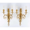 Paire d’appliques de style Louis XVI. | Biron ||||||