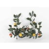 Paire d’appliques « Citrons et Grenades », Maison Honoré France, 1960 | Biron |||||||||||