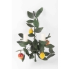 Paire d’appliques « Citrons et Grenades », Maison Honoré France, 1960 | Biron Paire d’appliques "Citrons et Grenades", Maison Honoré France, 1960